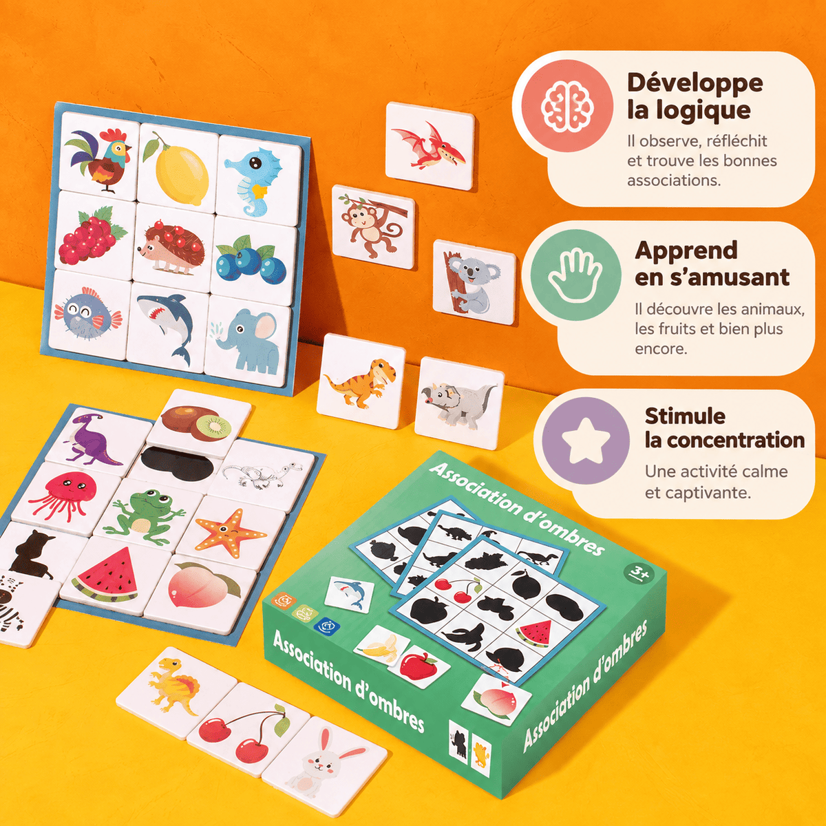 Puzzle éducatif 🧩